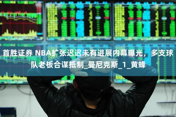 首胜证券 NBA扩张迟迟未有进展内幕曝光，多支球队老板合谋抵制_曼尼克斯_1_黄蜂