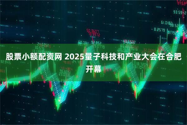 股票小额配资网 2025量子科技和产业大会在合肥开幕