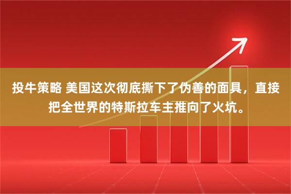投牛策略 美国这次彻底撕下了伪善的面具,直接把全世界的特斯拉车主推向了火坑。