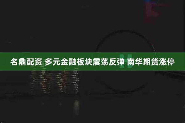 名鼎配资 多元金融板块震荡反弹 南华期货涨停
