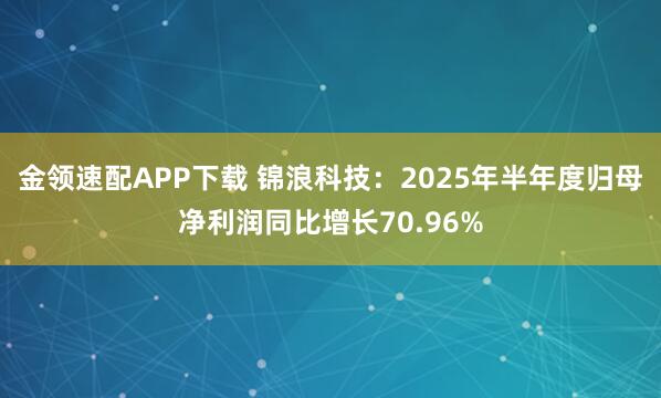 金领速配APP下载 锦浪科技：2025年半年度归母净利润同比增长70.96%