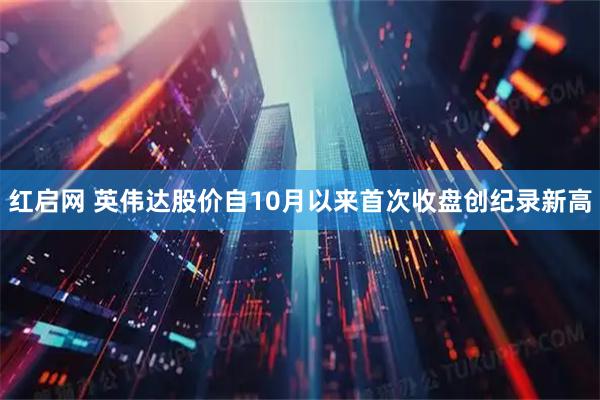 红启网 英伟达股价自10月以来首次收盘创纪录新高